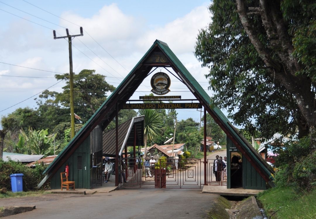 namshal safaris (27)