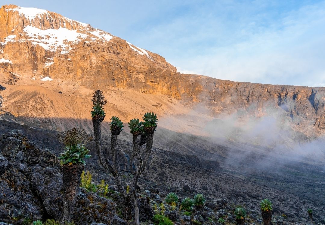 namshal safaris (29)