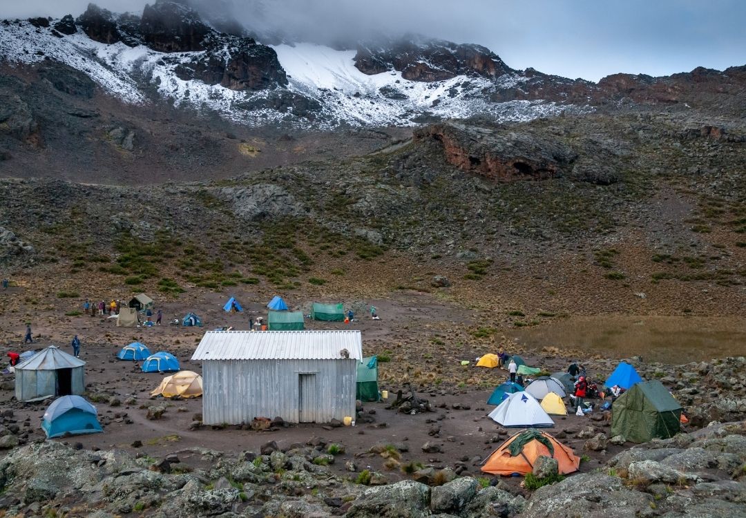 namshal safaris (30)