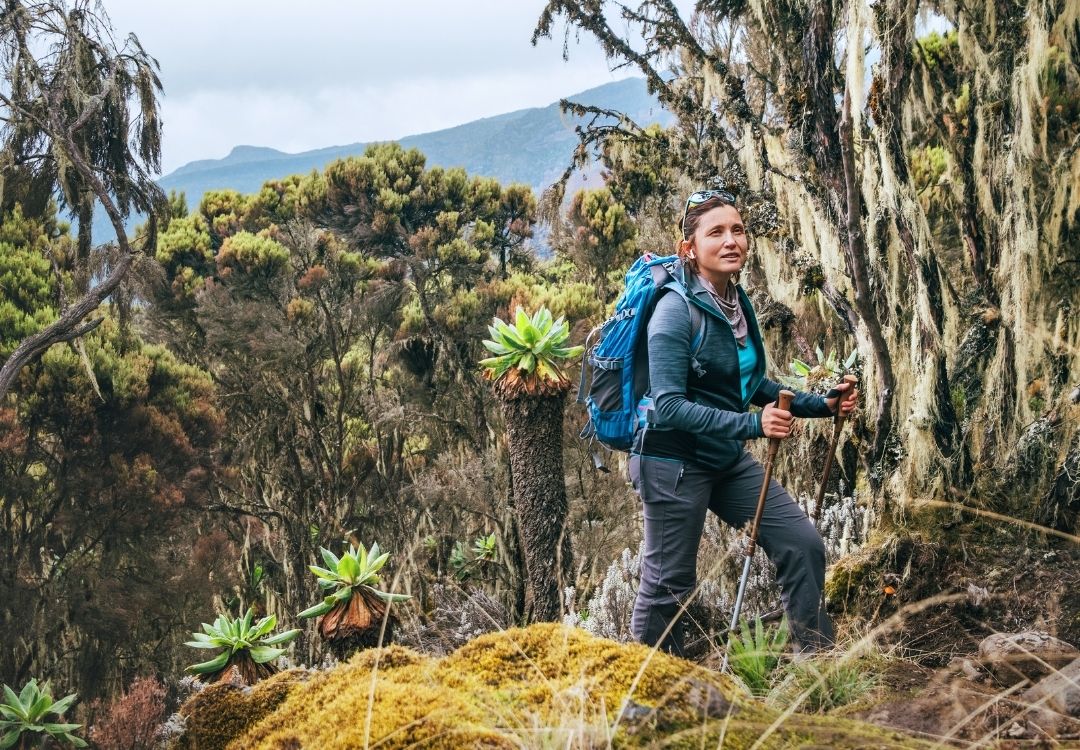 namshal safaris (32)