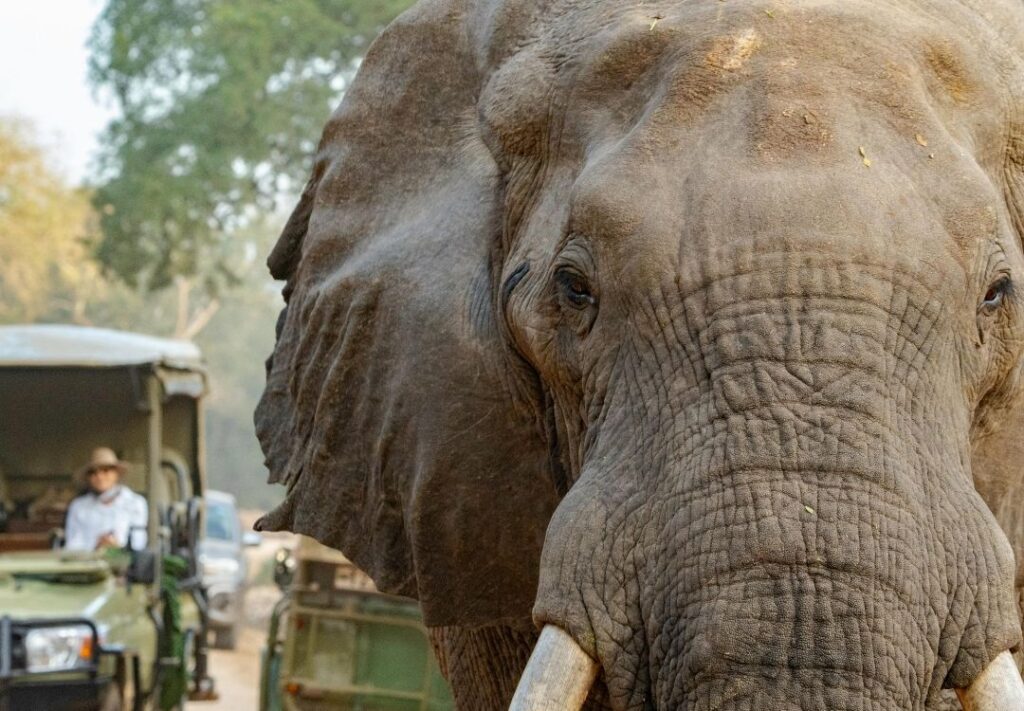 namshal safaris (49)