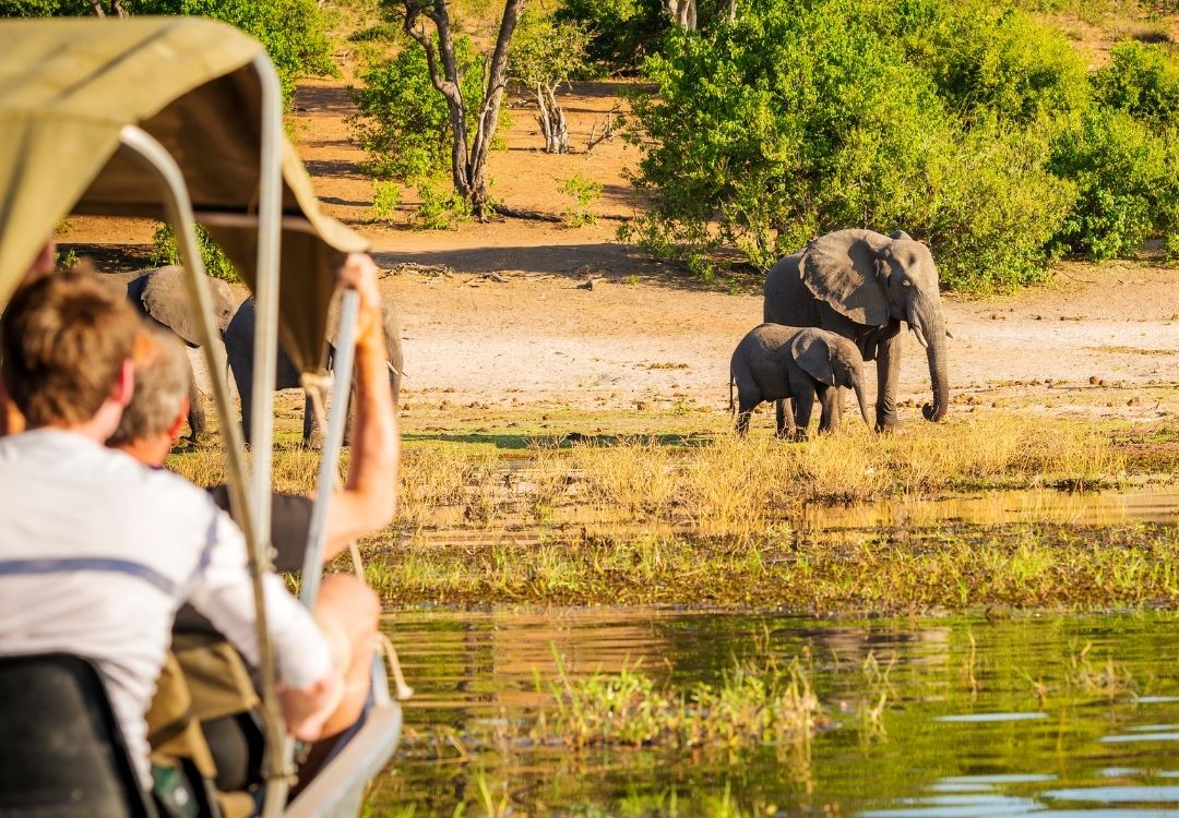 Namshal Safaris Classic Wildlife Safaris