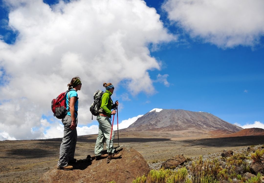Namshal Safaris Kilimanjaro Trekking Adventures
